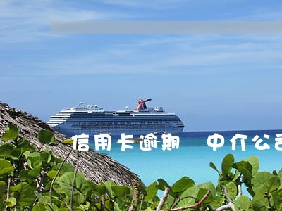 信用卡逾期 中介公司 房贷